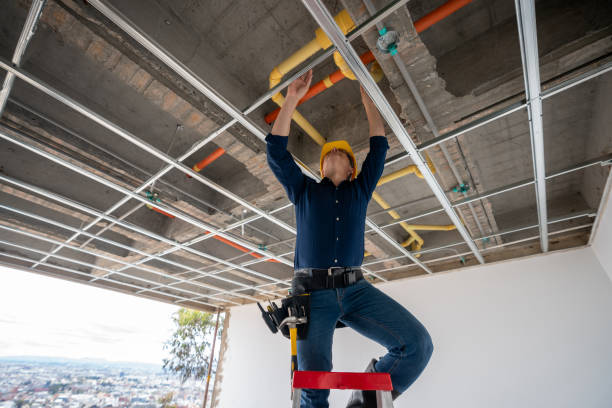 Best Drain Cleaning Services  in Wilton, CA