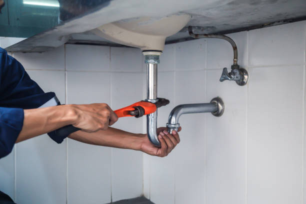 Best Drain Cleaning Services  in Wilton, CA